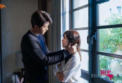 阳光之下电视剧,探寻真相与正义的较量