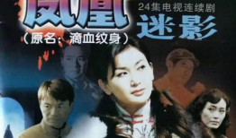 凤凰迷影 电视剧,揭秘神秘剧作背后的传奇故事