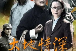 大地情深电视剧演员表,实力派明星齐聚演绎感人故事