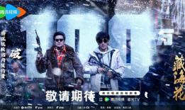 藏海花电视剧,探寻神秘古墓，揭秘千年宝藏之谜