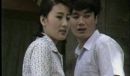 九十年代电视剧,九十年代电视剧经典回顾