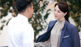 黄磊陈数演的电视剧,黄磊陈数演绎的都市情感传奇