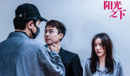 阳光之下电视剧,探寻真相与正义的较量