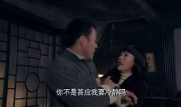 电视剧密使全集,潜伏风云下的生死较量