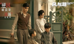 好电视剧,探寻那些让人回味无穷的好电视剧