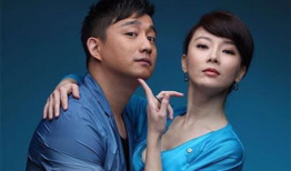 黄磊陈数演的电视剧,黄磊陈数演绎的都市情感传奇