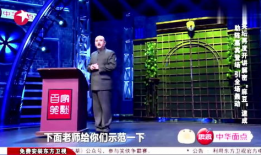 孙建宏 麻豆,时尚界的璀璨新星